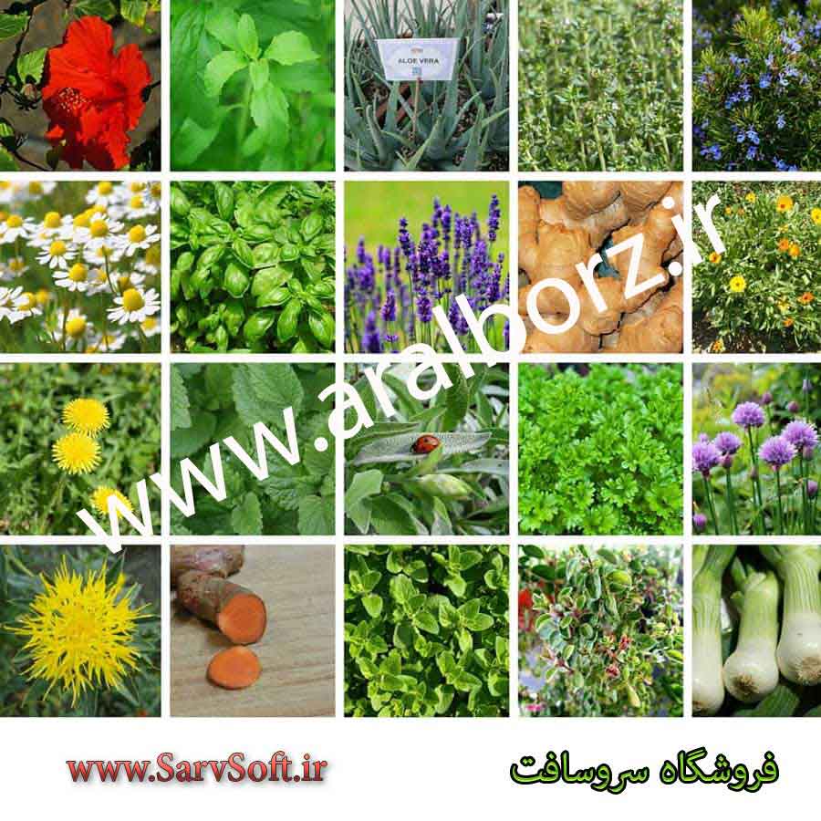 دانلود سایت فروشگاه گیاهان دارویی با asp دات نت و زبان سی شارپ